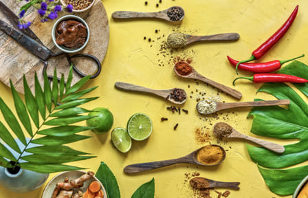 Ceylon Ayurvedha Tour