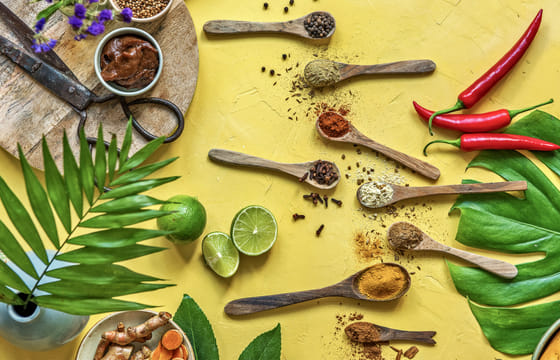 Ceylon Ayurvedha Tour