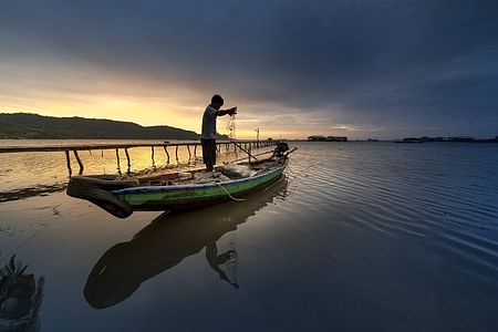 Night Squid Fishing Adventure in Phu Quoc – A Unique Culinary Experience