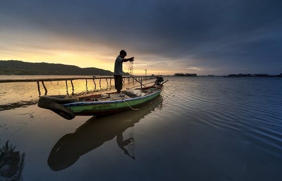 Phu Quoc Night Squid Fishing Experience