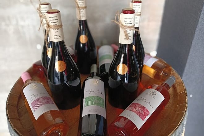 Skopje Wine Tasting Experience – Wines by Zaharchev Winery - Photo 5