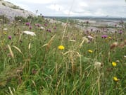 Spiritual walk within the Burren. Clare. Private guided. 4 hours 4