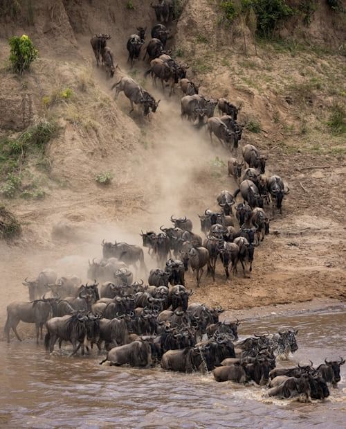 3-Day Amboseli and Tsavo West from Nairobi