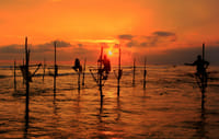 Day Tour to Galle 7