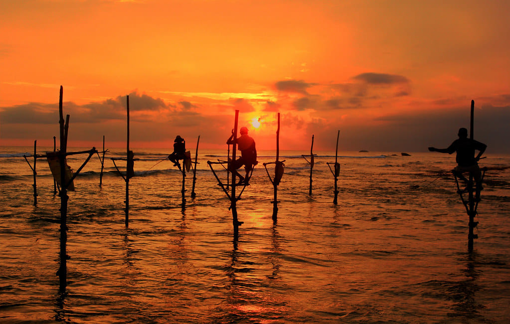 Day Tour to Galle 7