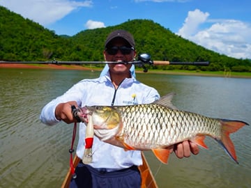 Deep-Sea Fishing Charter