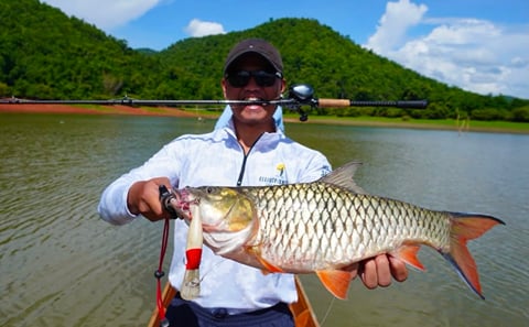 Deep-Sea Fishing Charter