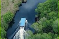Black River Safari Guided Tour & YS Falls Tour  4