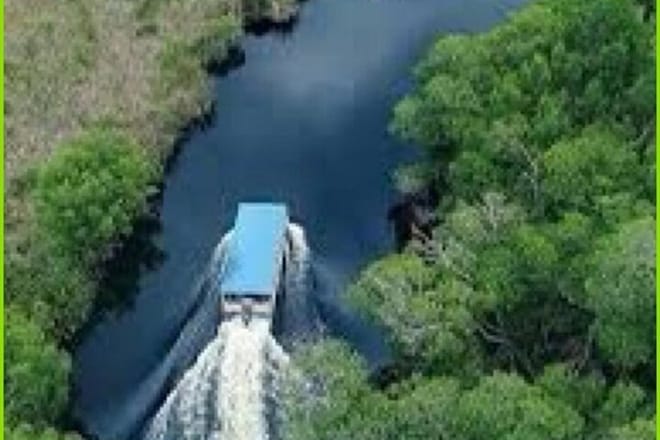 Black River Safari Guided Tour & YS Falls Tour 