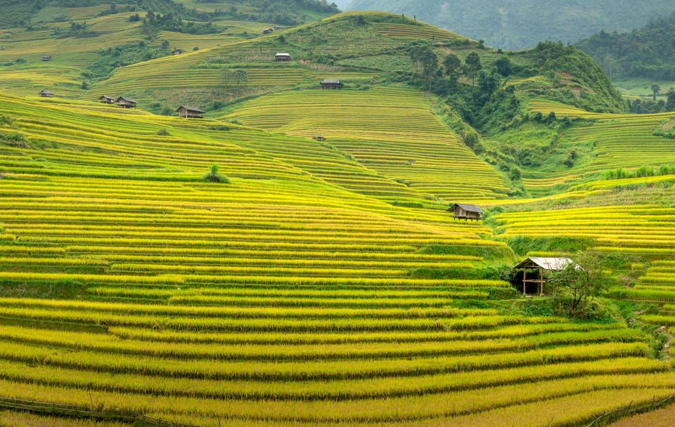 Cultural Exploration Tour of Vietnam in 15 Days