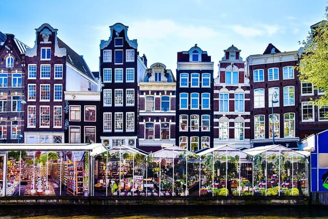 Amsterdam Day Trip from Brussels With Cheese, Clogs and Windmills 7
