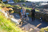 Electric biking on Inishbofin Island. Galway. Self guided.  1