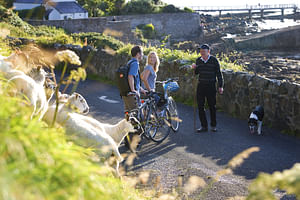 Electric biking on Inishbofin Island. Galway. Self guided. 