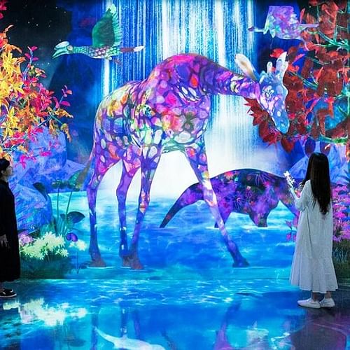 Teamlab Forest Tickets in Fukuoka