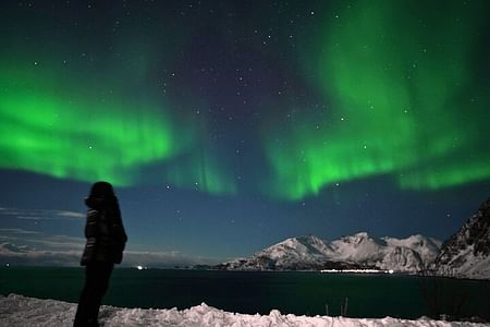 Chase the Northern Lights in Tromsø: An Unforgettable Small-Group Adventure