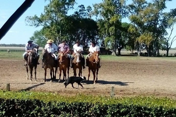 Dia de Gauchos en la estancia