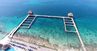 Dolphin Encounter en Cozumel 3