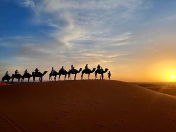 Quad Biking and Camel Riding with Dinner in Agafay Desert