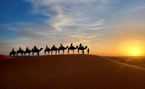 Quad Biking and Camel Riding with Dinner in Agafay Desert