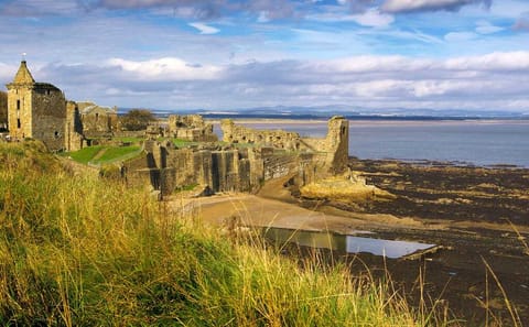 St Andrews and Fife Coast Day Trip from Edinburgh