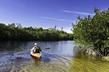 Desert and Mangrove Adventure Day Trip from Máncora