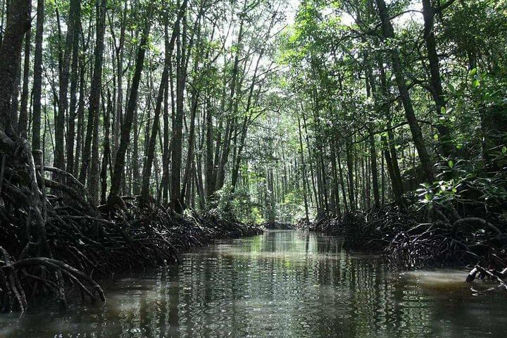 4in1 Underground River + ugong cave +zipline+mangroove paddleboat
