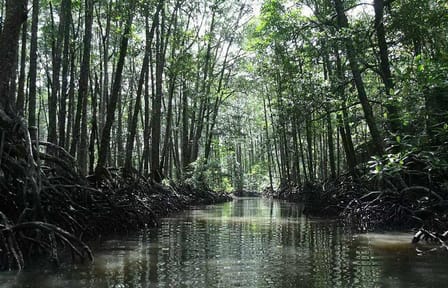 4in1 Underground River + ugong cave +zipline+mangrove paddleboat