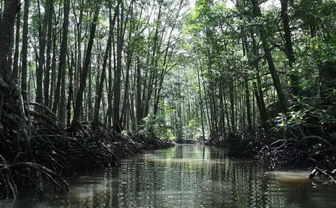 Underground River and Ugong Cave Adventure in Puerto Princesa