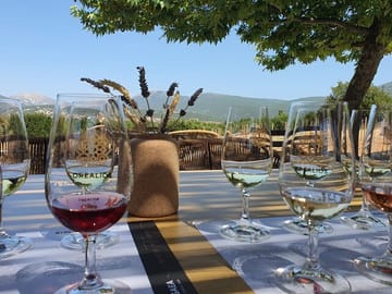 Kefalonia Wine Tour: 18 Tastings at 3 Local Wineries