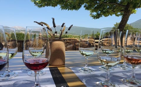 Kefalonia Wine Tour: 18 Tastings at 3 Local Wineries