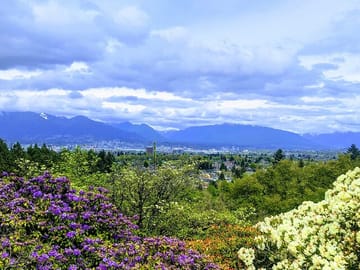 Private Half-Day City Tour of Vancouver with Lookout Admission