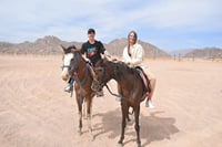 Hurghada : Horse Riding 2 Hours Sea & Desert with Transfer 6