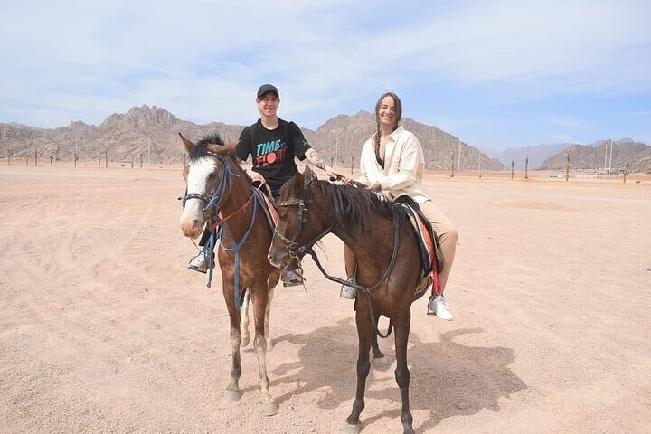 Hurghada : Horse Riding 2 Hours Sea & Desert with Transfer 6