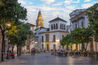 Cordoba in 1 Day - Walking Tour - Audioguide in 7 languages 2