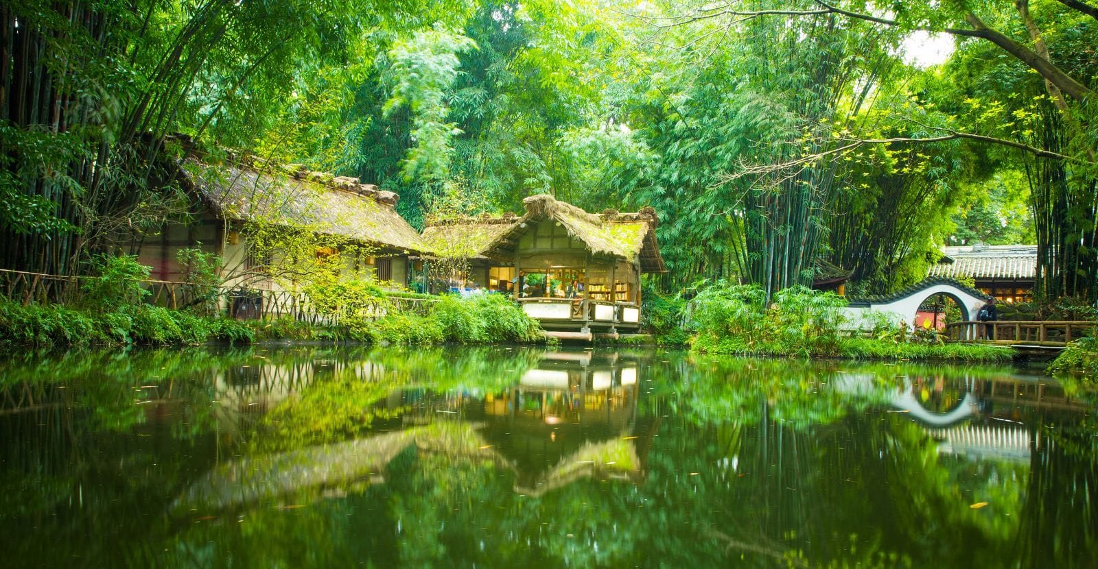 A Poet's Paradise: A Day at Chengdu's Du Fu Thatched Cottage