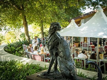 Private Wine Tour in Stellenbosch from Cape Town