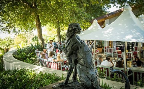 Private Wine Tour in Stellenbosch from Cape Town