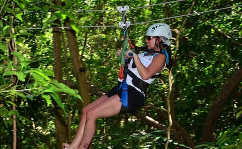 Zipline Adventure and Dunn's River Falls Tour from Montego Bay