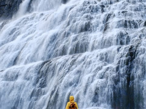 Private Dynjandi Waterfall & Iceland’s Oldest Bookstore Westfjords Tour, photo 5