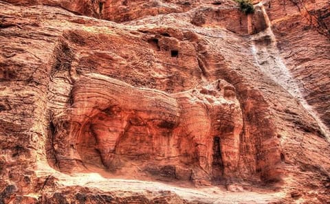 Private Back Trail Tour of Petra from Amman