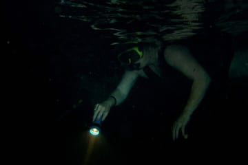 Night Snorkeling Experience in Mirissa