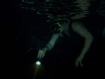 Night Snorkeling Adventure in Mirissa, Sri Lanka