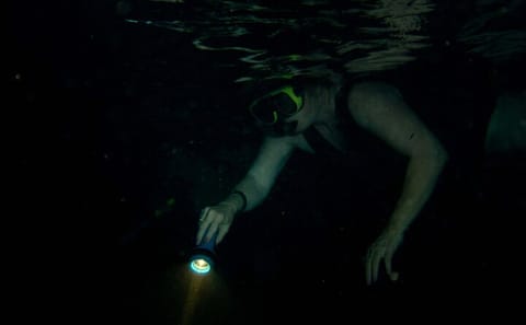 Night Snorkeling Adventure in Mirissa, Sri Lanka
