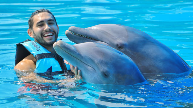 Isla Mujeres: Dolphin Royal Connection