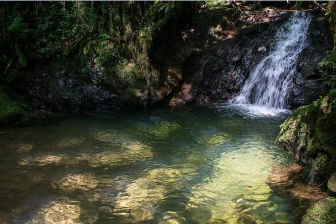 Immersion In An Untouched Ecosystem – Adventurous Full Day Hiking Tour photo 4