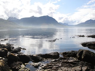 Sailing in Seydisfjordur and nearby area , photo 7