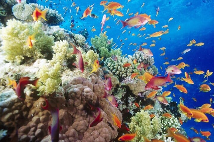 Sharm El Naga National Park Semi-Private Snorkeling Trip-Hurghada