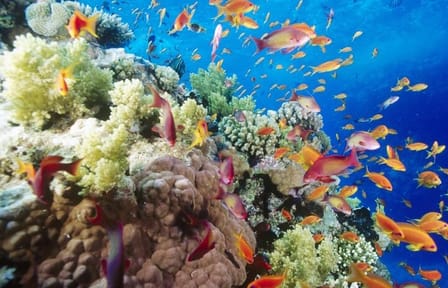 Sharm El Naga National Park Semi-Private Snorkeling Trip-Hurghada