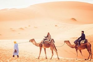 2-Day Tunisian Sahara Desert Camel Trek from Douz