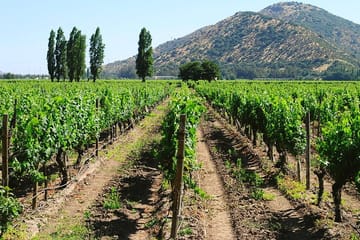 Private Full Day City Tour of Santiago with Wine Experience